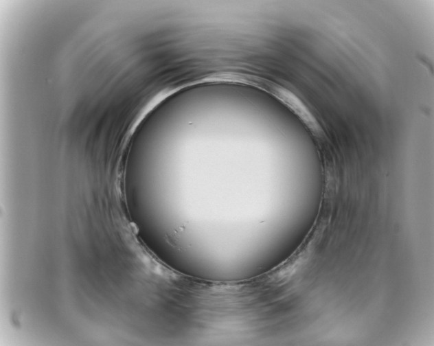 X0000096450908200801241137