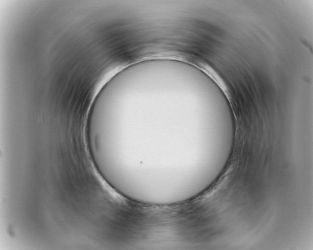 X0000096450909200801241137