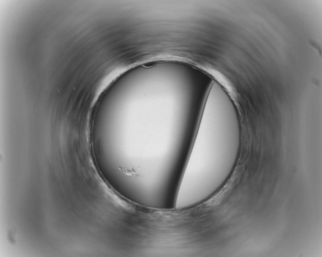 X0000096450910200801241137