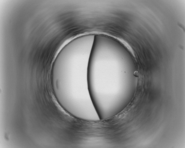 X0000096450911200801241137