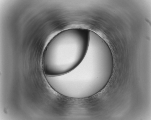 X0000096450912200801241137