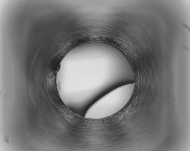 X0000096450914200801241137