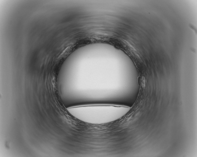 X0000096450915200801241137