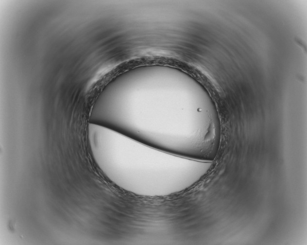 X0000096450919200801241137