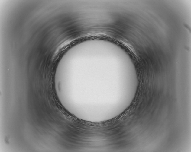 X0000096450920200801241137