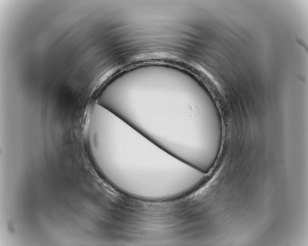 X0000096450921200801241137