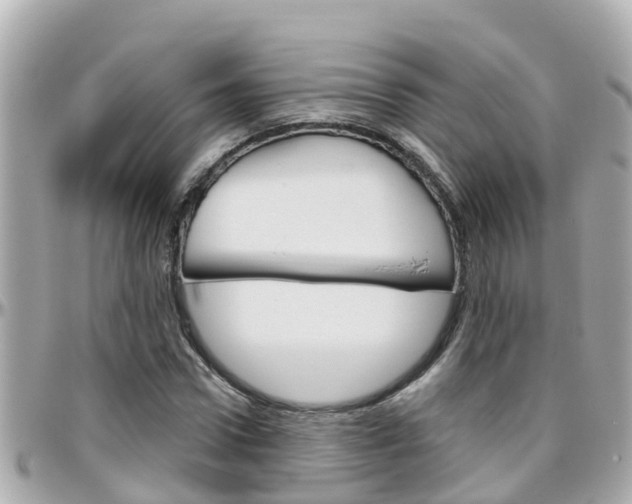 X0000096450922200801241137