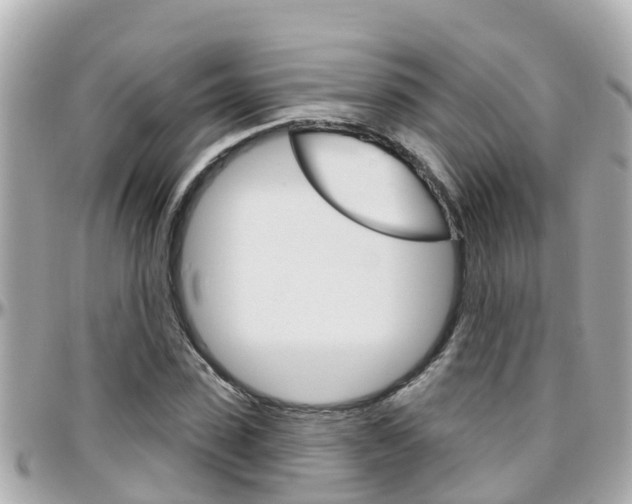 X0000096450923200801241137