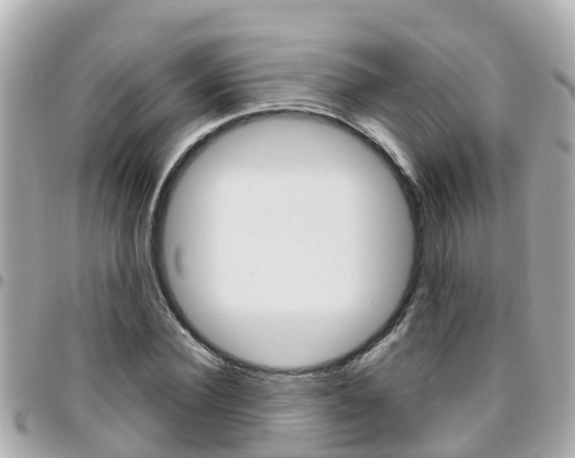 X0000096450924200801241137
