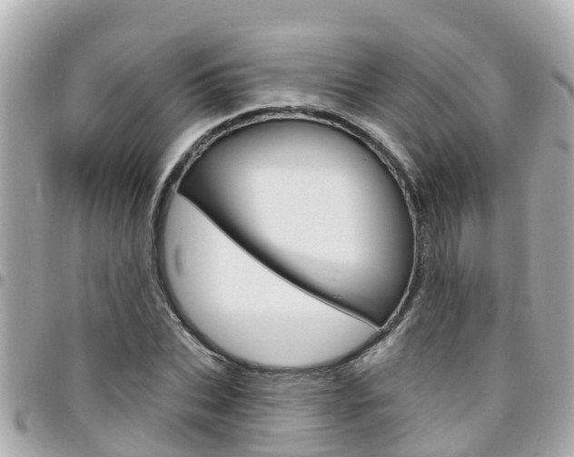X0000096450927200801241137