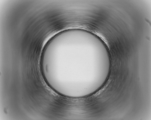 X0000096450928200801241137