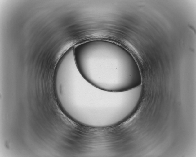 X0000096450930200801241137