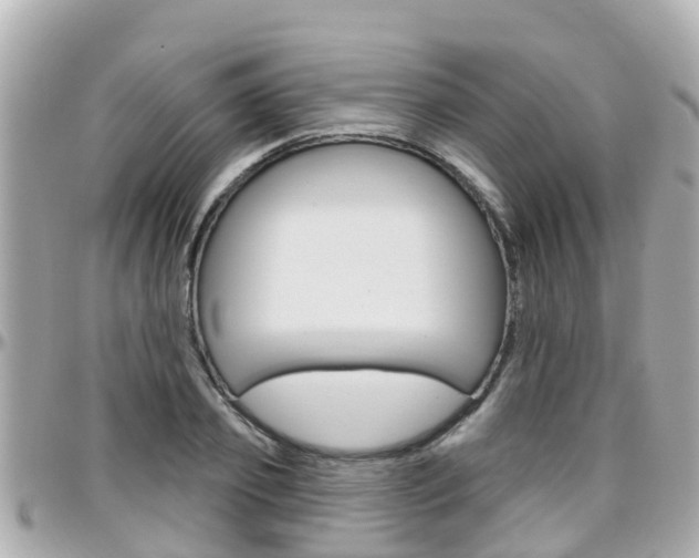 X0000096450933200801241137