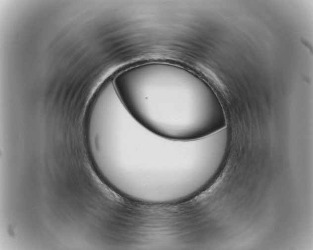 X0000096450934200801241137