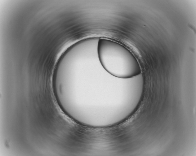 X0000096450936200801241137
