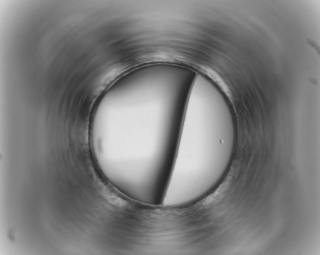 X0000096450938200801241137