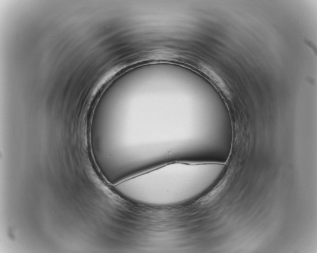 X0000096450939200801241137