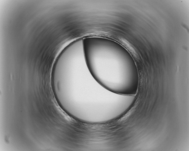 X0000096450940200801241137