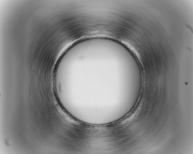 X0000096450941200801241137