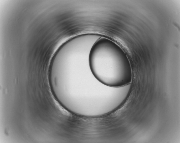X0000096450942200801241137