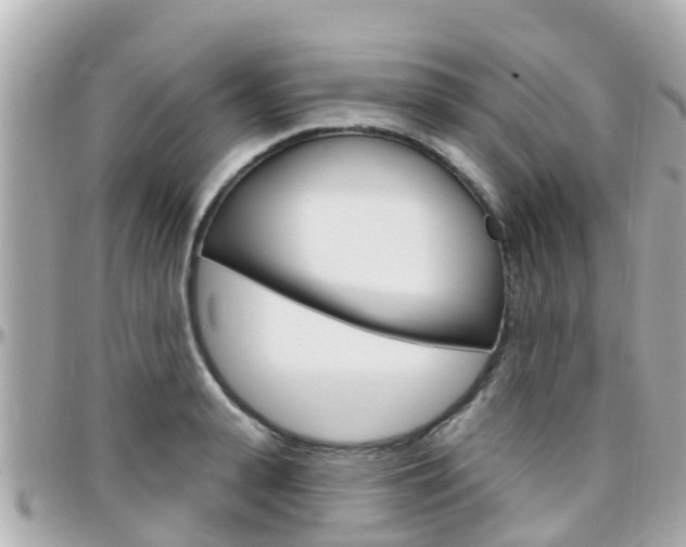X0000096450943200801241137