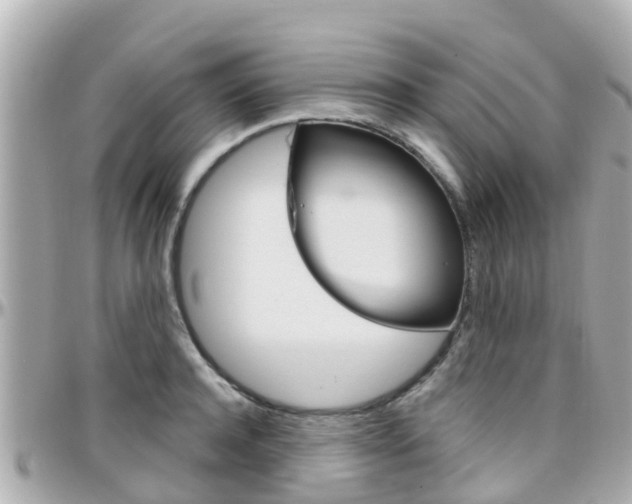 X0000096450944200801241137