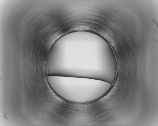X0000096450945200801241137