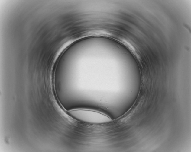 X0000096450947200801241137