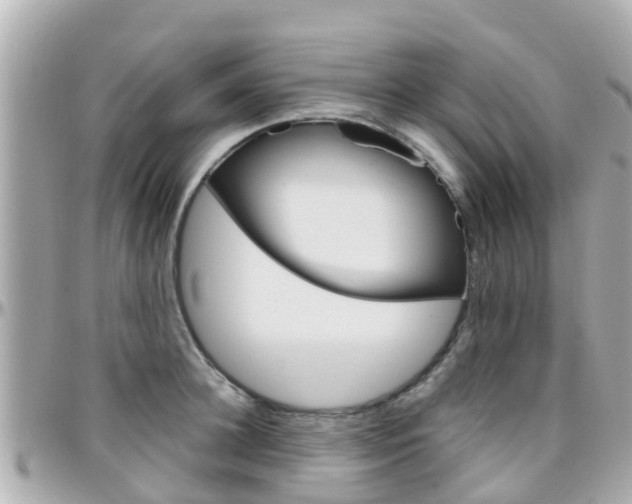X0000096450948200801241137