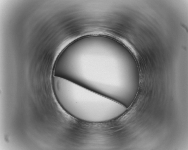 X0000096450951200801241137