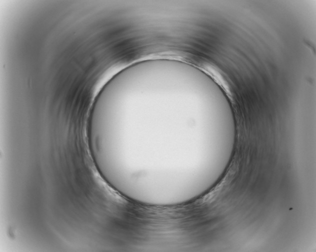 X0000096450952200801241137