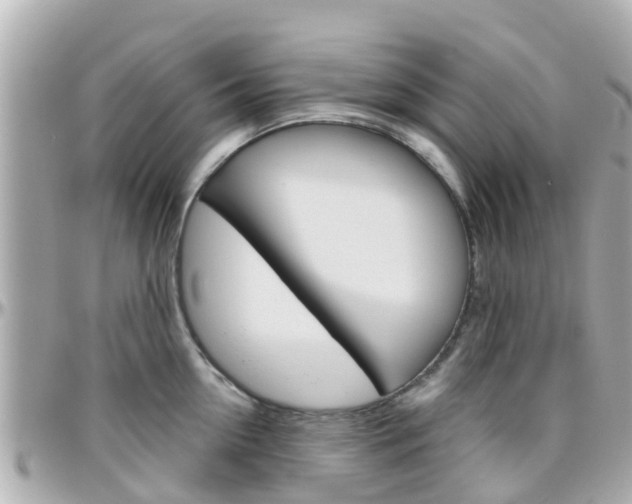 X0000096450954200801241137