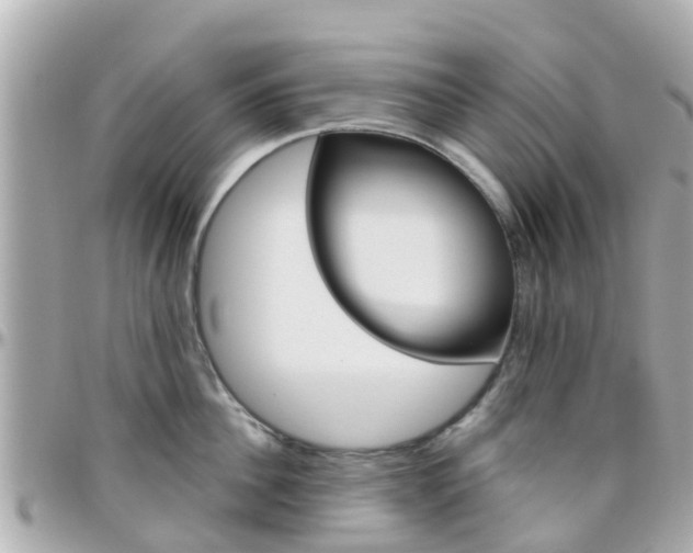 X0000096450956200801241137