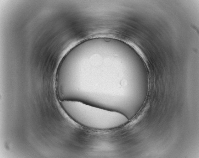 X0000096450957200801241137