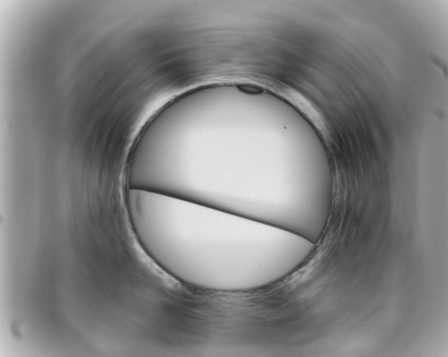 X0000096450958200801241137