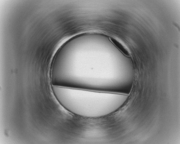 X0000096450959200801241137