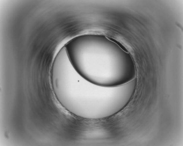 X0000096450960200801241137