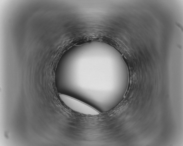 X0000096450961200801241136
