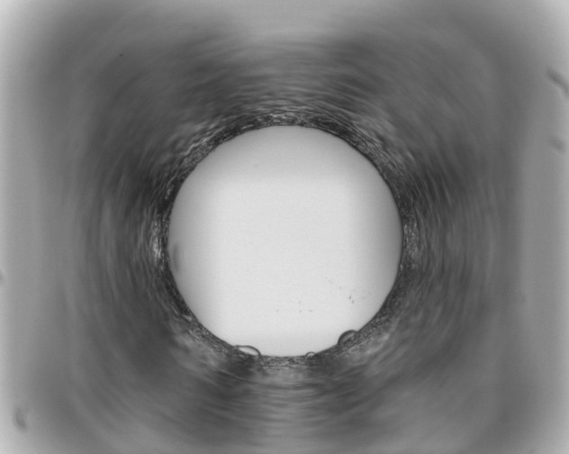 X0000096450962200801241136