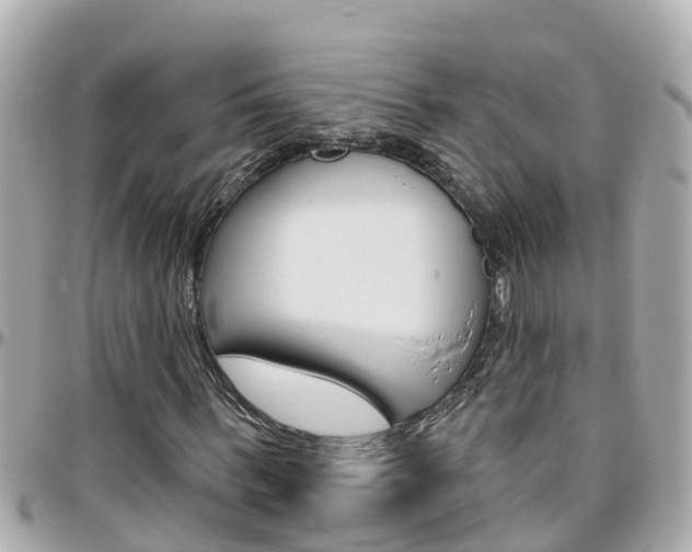 X0000096450963200801241136