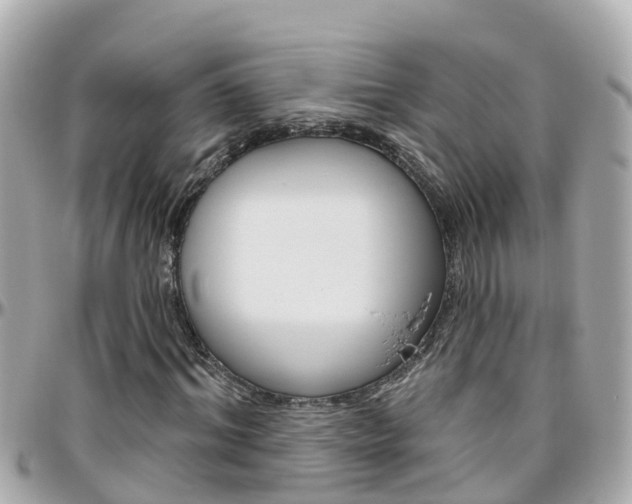 X0000096450964200801241136