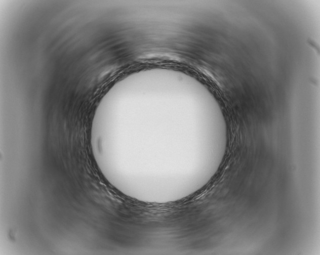 X0000096450965200801241136