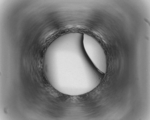 X0000096450966200801241136