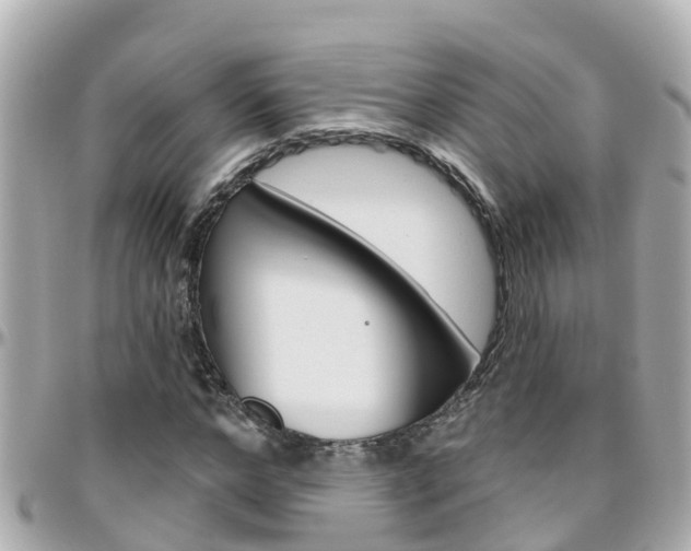 X0000096450968200801241136