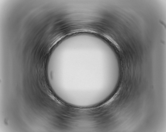 X0000096450969200801241136