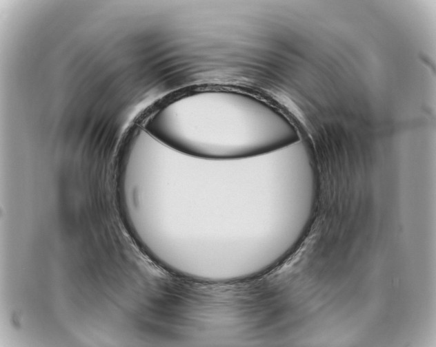 X0000096450971200801241136