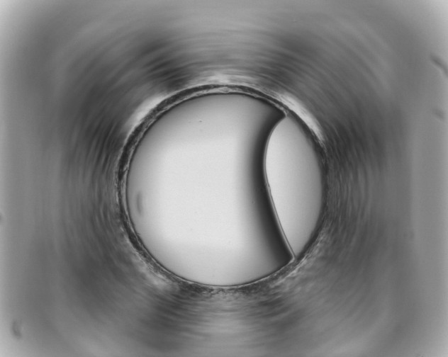 X0000096450972200801241136