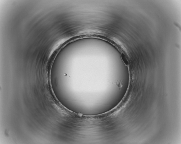 X0000096450973200801241136