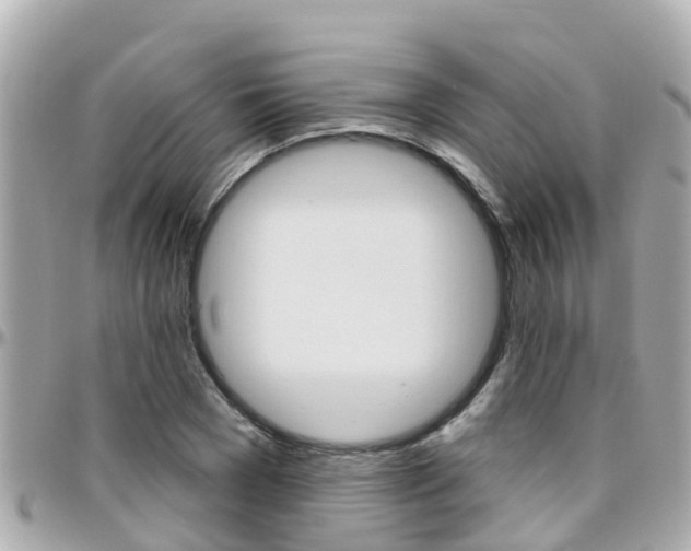 X0000096450977200801241136