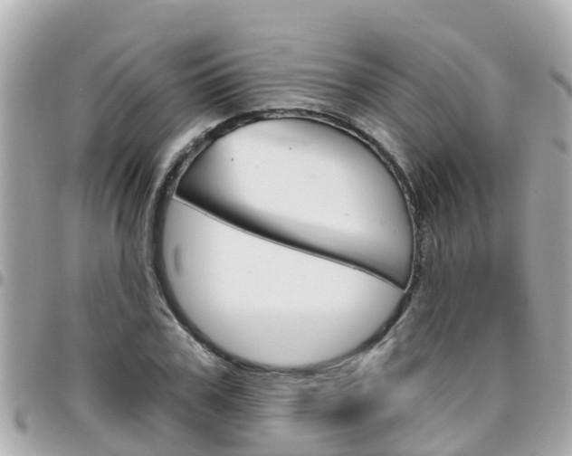 X0000096450979200801241136